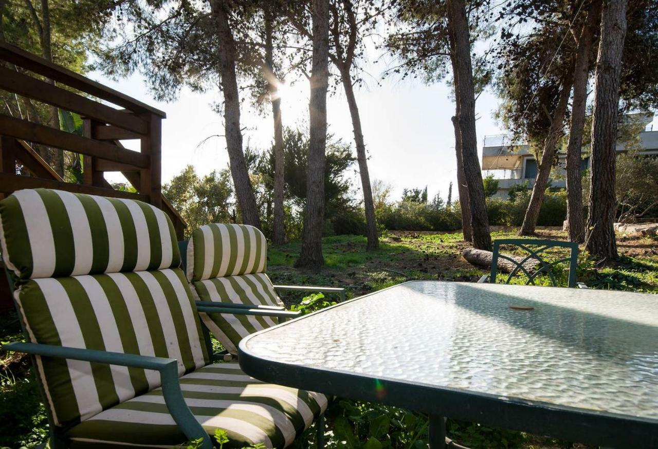 Lili'S Galilee House! Nature Views Terrace Kefar Weradim 外观 照片